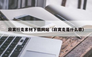 台山寂寞行走素材下载网站（寂寞走是什么歌）